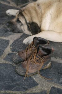 Werkschoenen naast een liggende hond