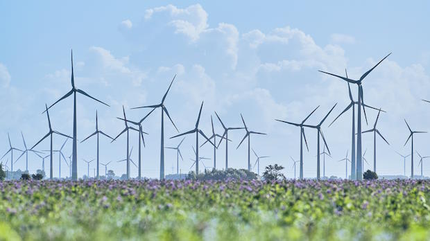 Windturbines in een grasveld